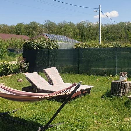 Forest Relax Near Oradea -Pet Friendly Les エクステリア 写真